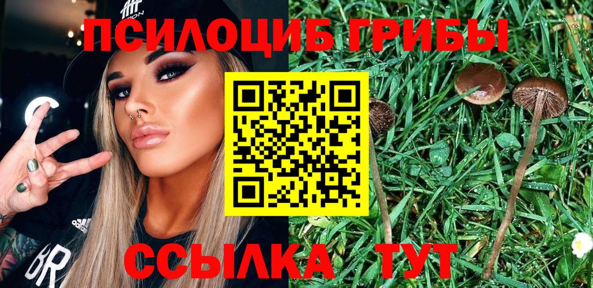 Галлюциногенные грибы GOLDEN TEACHER Ачхой-Мартан