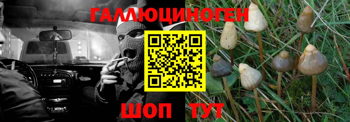 Галлюциногенные грибы мухоморы  Вход с VPN  Ачхой-Мартан  Галлюциногенные грибы Psilocybe 